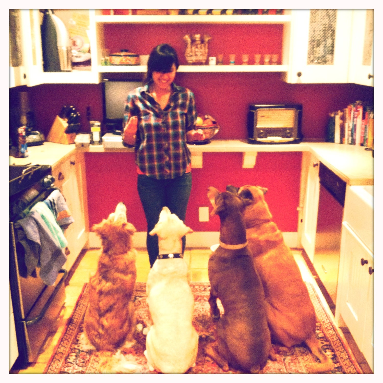 Allison Ramirez food photographer with dogs